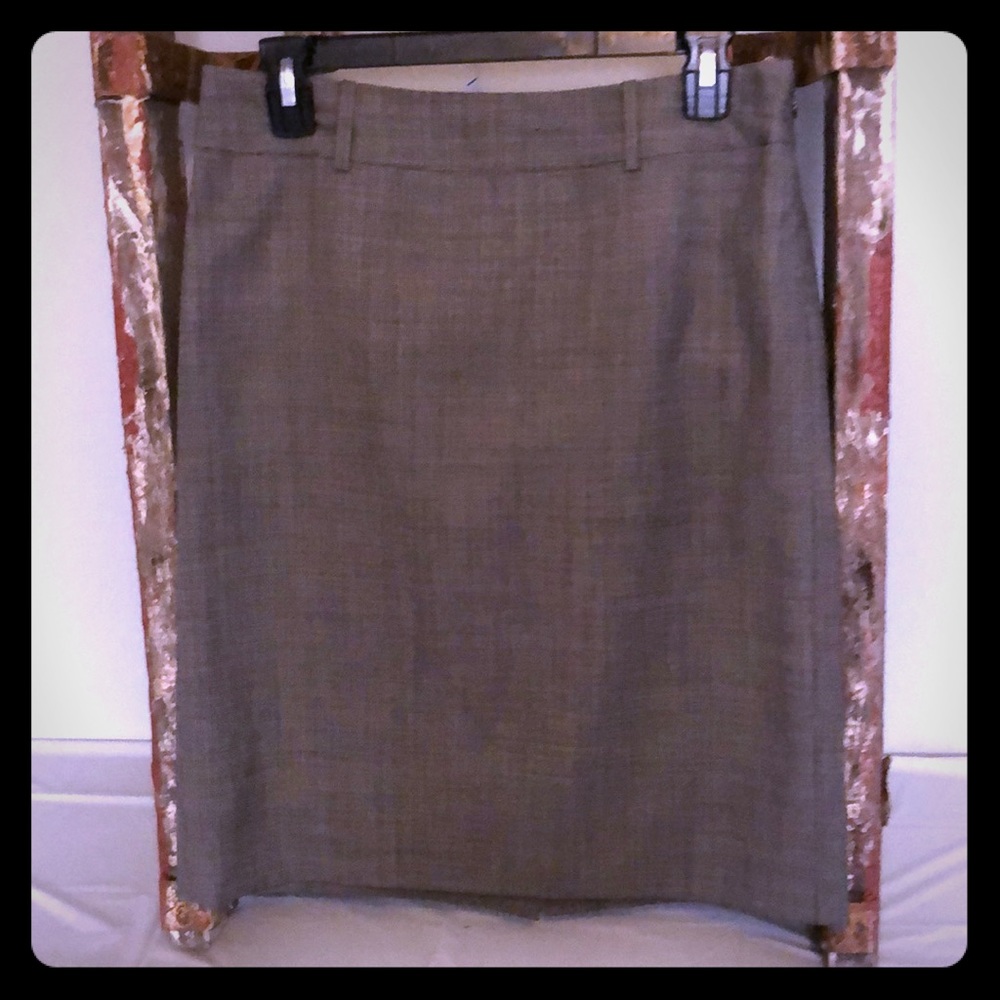 Ann Taylor Petites skirt used